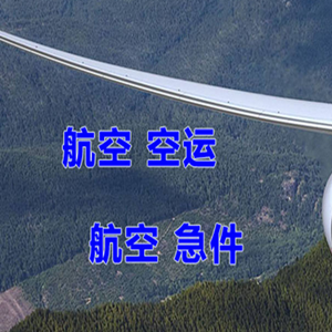 河池金城江航空物流快递-选东方航空和上海航空
